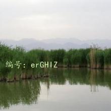 ˳