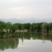 Ƶ